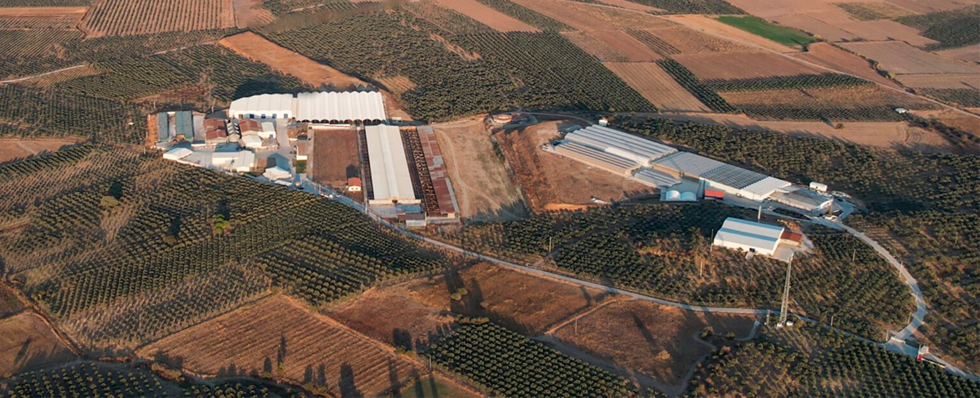 dikili-ciftlik-banner