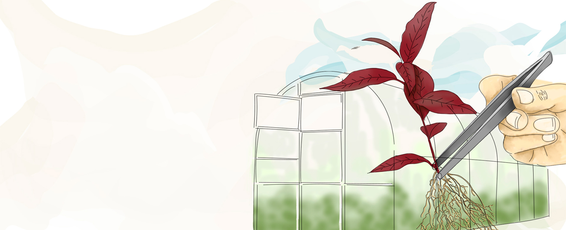 invitro-fidan-banner